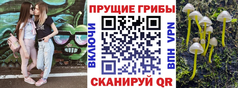 Галлюциногенные грибы прущие грибы Жуков
